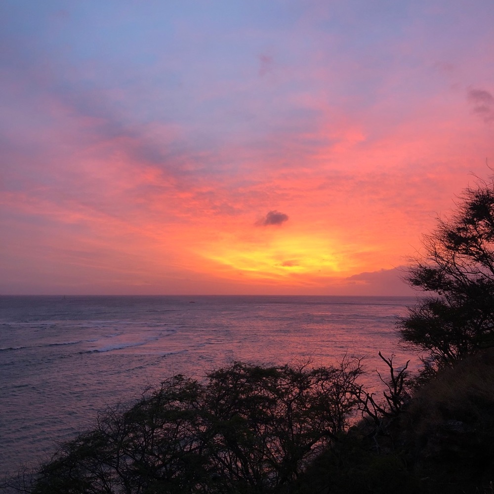 Meet your Posher, Kiana